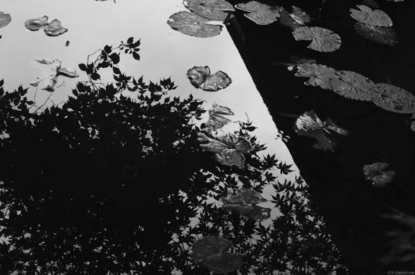 tak1208_Kyoto04.jpg