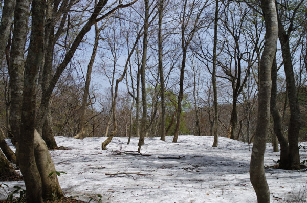 tak1204_Daisen01.jpg tak1204_Daisen01.jpg