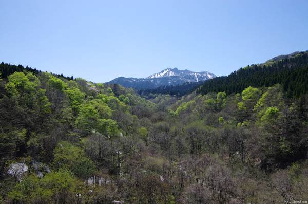 tak1204_Daisen02.jpg tak1204_Daisen02.jpg