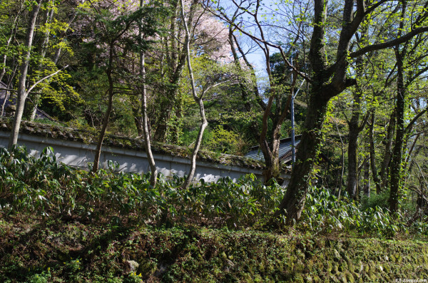 tak1204_Daisen03.jpg tak1204_Daisen03.jpg