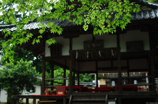 tak1205_Hiraoka01.jpg
