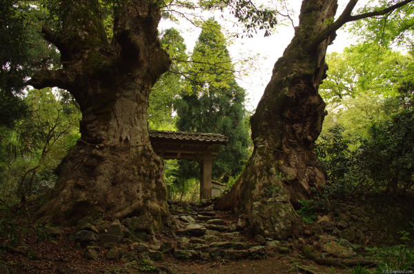 tak1304_kanzanji01.jpg tak1304_kanzanji01.jpg
