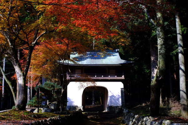 tak1311_Amidaji03.jpg tak1311_Amidaji03.jpg