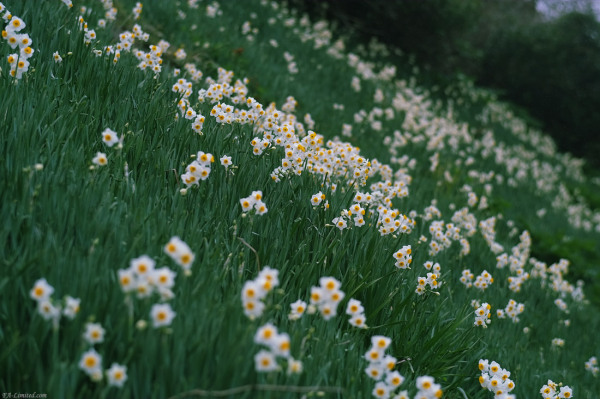tak1401_Awaji01.jpg tak1401_Awaji01.jpg