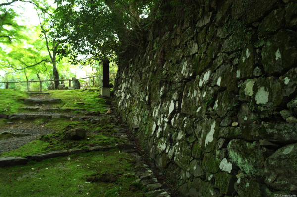 tak1408_Takao02.jpg