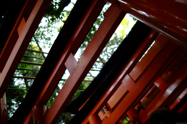 tak1411_Fushimi-Inari01.jpg tak1411_Fushimi-Inari01.jpg