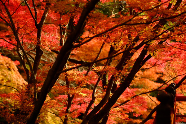 tak1411_Imakumano05.jpg tak1411_Imakumano05.jpg