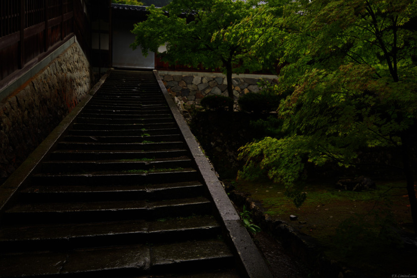 tak1706_Eiheiji02.jpg