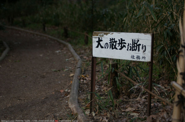 200703_Shimogamo_04.jpg 200703_Shimogamo_04.jpg
