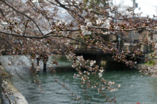 200803_Okazaki_03.jpg 200803_Okazaki_03.jpg
