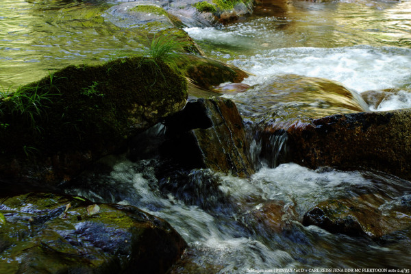 tak080802_02.jpg