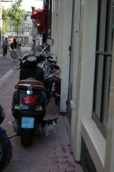 200909_Amsterdam_b06.jpg 200909_Amsterdam_b06.jpg