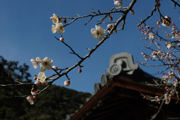 tak1002iwakuni_01.jpg tak1002iwakuni_01.jpg
