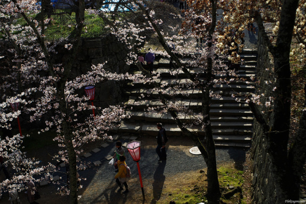 tak1004_tsuyama02.jpg tak1004_tsuyama02.jpg