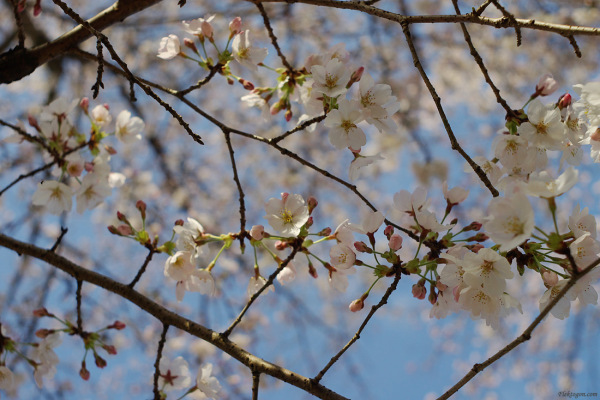 tak1004_tsuyama05.jpg tak1004_tsuyama05.jpg