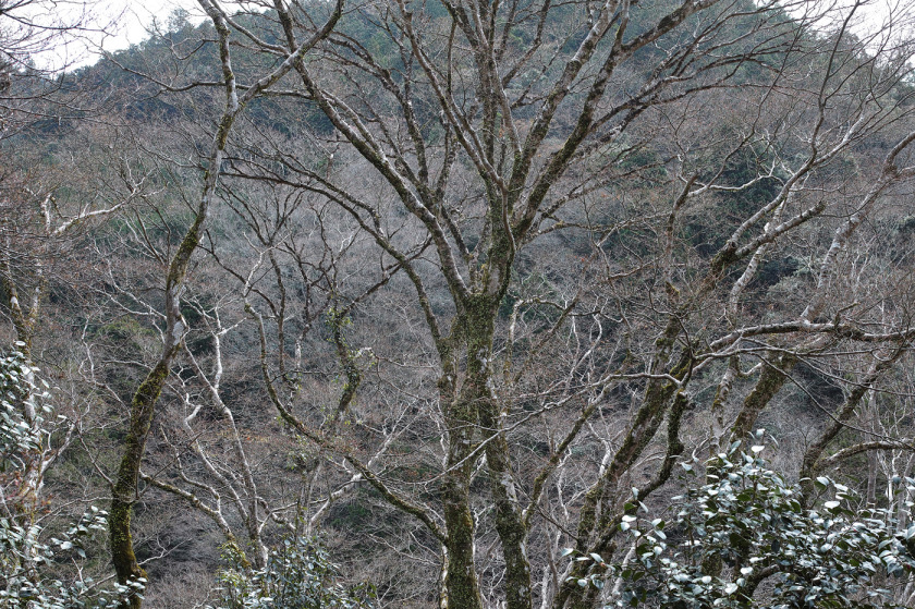 tak2204_03.jpg tak2204_03.jpg