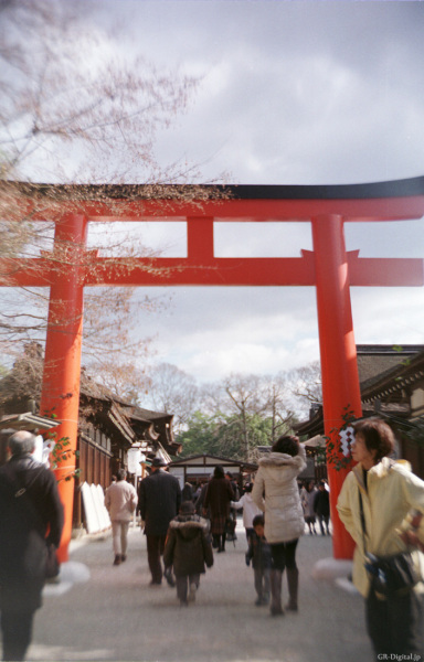 20100101_Shimogamo_GF_02.jpg