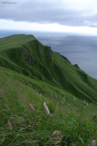 20110730_R0013209.jpg 20110730_R0013209.jpg