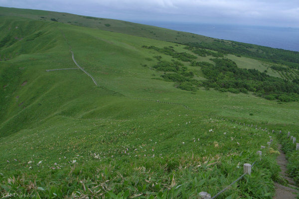 20110730_R0013214.jpg 20110730_R0013214.jpg