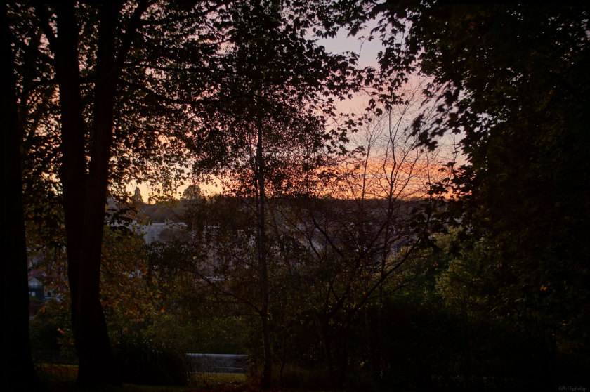 201410_Meudon03.jpg 201410_Meudon03.jpg