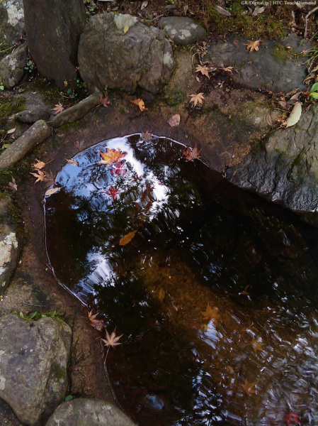 200811_Takao03b.jpg