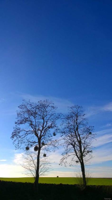 201501_WorldHeritage_02.jpg 201501_WorldHeritage_02.jpg