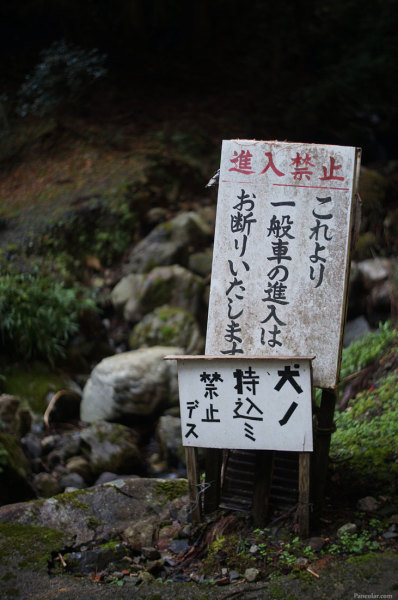 201311_Amida_03.jpg 201311_Amida_03.jpg