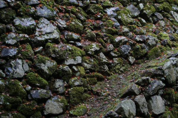 201311_Amida_04.jpg 201311_Amida_04.jpg