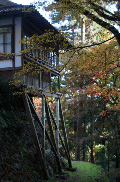 201311_Amida_05.jpg 201311_Amida_05.jpg