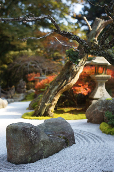 201311_Amida_06.jpg 201311_Amida_06.jpg