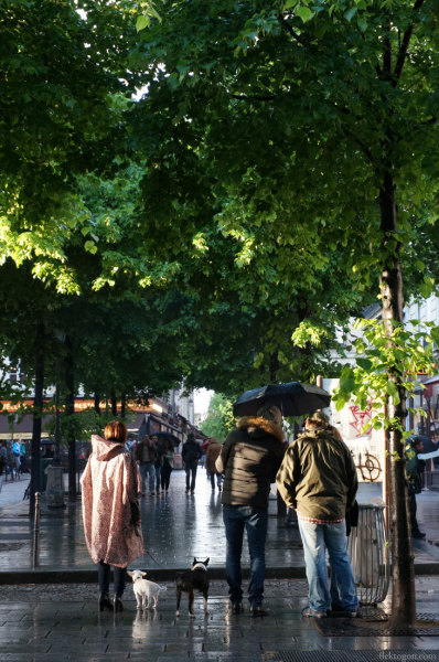 Paris201404_02b.jpg