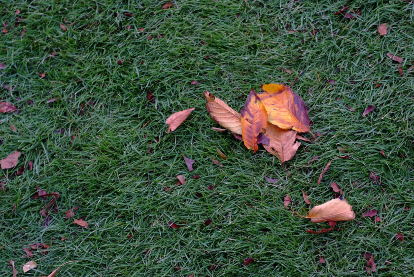 201810_7rm3_4.jpg
