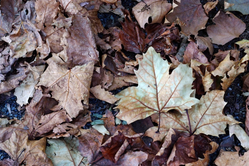 201810_7rm3_6.jpg