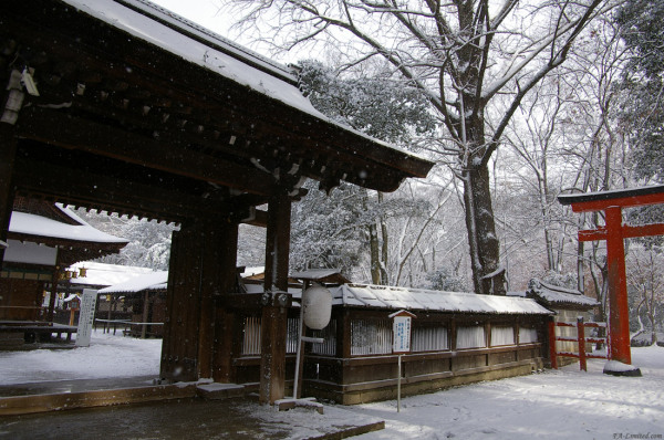 tak200512_shimogamo05.jpg tak200512_shimogamo05.jpg