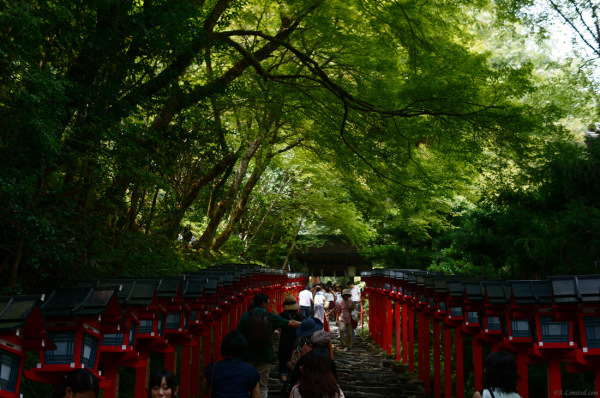 tak1308_kifune03.jpg tak1308_kifune03.jpg