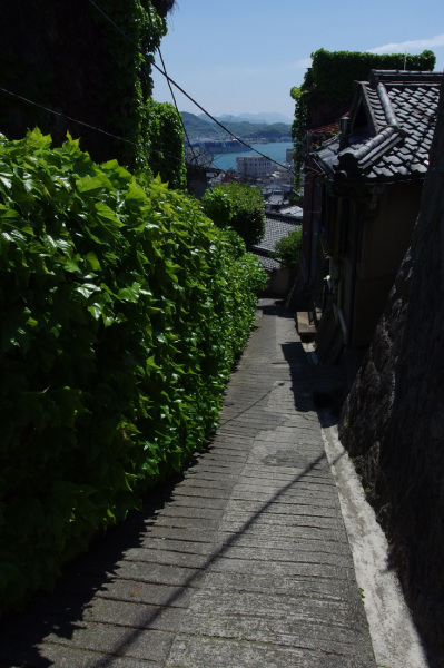 20140501_IMGP0296.jpg