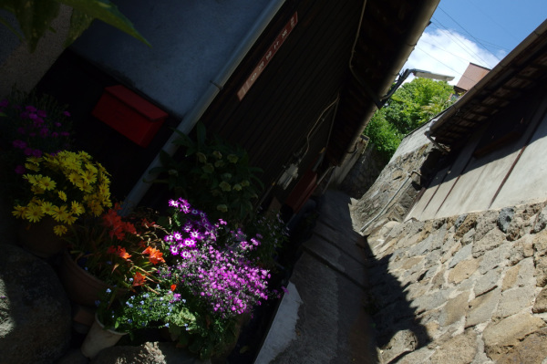 20140501_IMGP0299.jpg