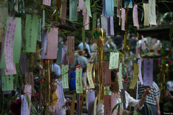 tak1308_kifune02.jpg tak1308_kifune02.jpg