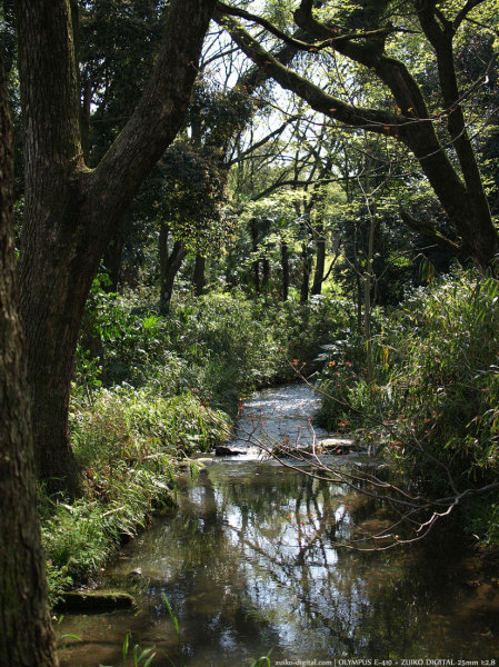 200804_zuiko03.jpg