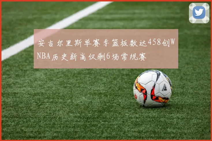 安吉尔里斯单赛季篮板数达458创WNBA历史新高仅剩6场常规赛