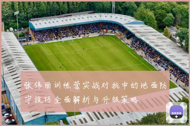 张伟丽训练营实战对抗中的地面防守技巧全面解析与升级策略